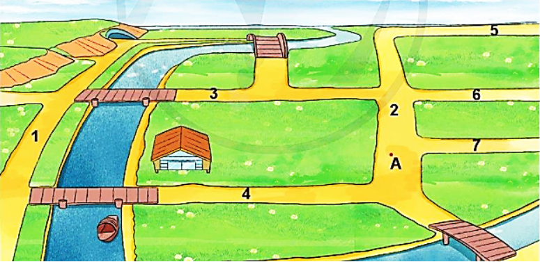 Cho hình vẽ dưới đây. Con đường song song với con đường 2 là: (ảnh 2)