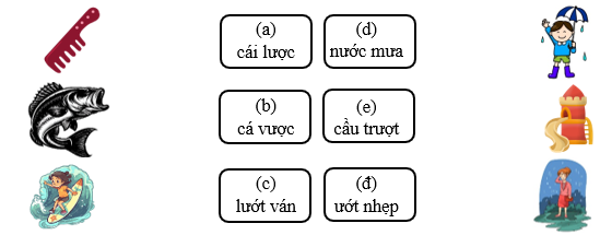 Nối đúng các hình sau: (ảnh 1)