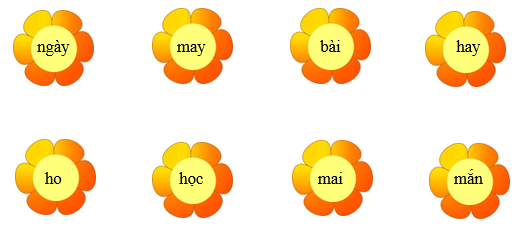 Nối đúng rồi viết lại từ ngữ: (ảnh 1)