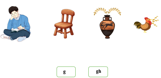 Nối đúng các hình sau: (ảnh 1)