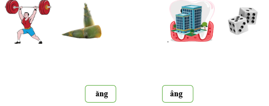 Nối đúng các hình sau: (ảnh 1)