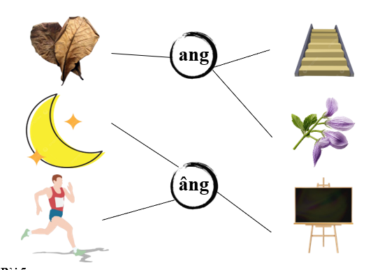 Nối đúng các hình sau: (ảnh 2)