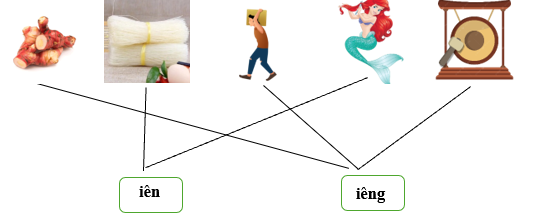 Nối đúng các từ sau: (ảnh 2)
