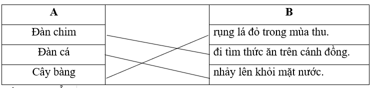 Nối chủ ngữ ở cột A với vị ngữ ở cột B để tạo thành câu phù hợp:  A  	     	  B     Đàn chim  	  rụng lá đỏ trong mùa thu.     Đàn cá  	  đi tìm thức ăn trên cánh đồng.     Cây bàng  	  nhảy lên khỏi mặt nước. (ảnh 1)