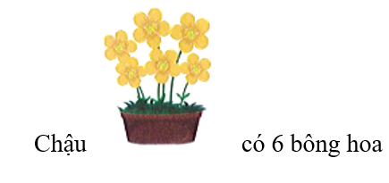 Chậu có nhiều hoa nhất là: (ảnh 1)