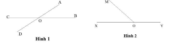 Đọc tên góc nhọn có trong hình sau: (ảnh 1)