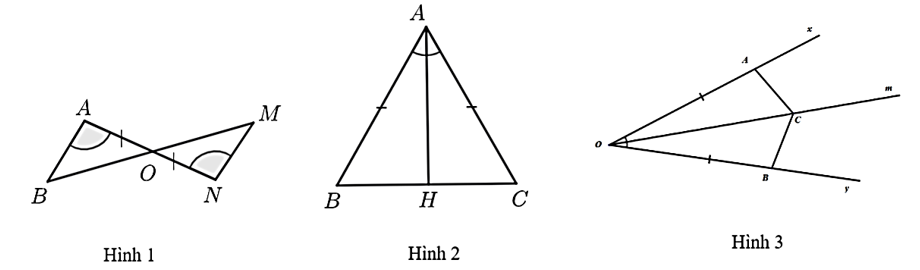 Cho các hình vẽ dưới đây:   Hỏi trong các hình trên, có mấy hình biểu diễn hai tam giác bằng nhau theo trường hợp cạnh – góc – cạnh? (ảnh 1)
