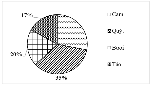 Sử dụng biểu đồ tỉ lệ phần trăm loại quả được bán ra trong ngày  (ảnh 1)