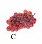 Tên quả nào có âm