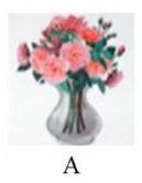 Tên đồ vật nào dưới đây có vần “ap”? (ảnh 1)