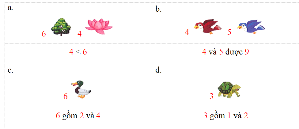  Bài tập cuối tuần Toán lớp 1 Kết nối tri thức Tuần 7 có đáp án (ảnh 2)