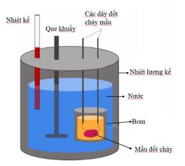 Bom nhiệt lượng dùng để đo năng lượng nhiệt giải phóng khi đốt cháy hoàn toàn một mẫu chất. (ảnh 1)