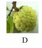 Tên quả nào có âm