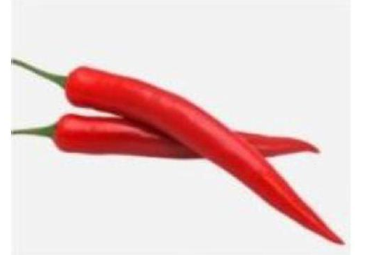 Đây là quả gì? A. quả nhót (ảnh 1)