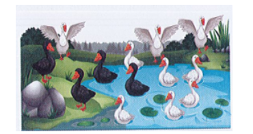  Bài tập cuối tuần Toán lớp 1 Kết nối tri thức Tuần 28 có đáp án (ảnh 2)