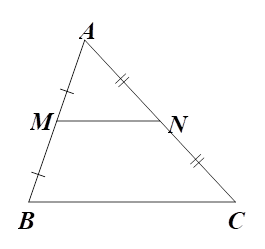 Cho hình vẽ bên. Khẳng định nào sau đây là đúng về MN? (ảnh 1)