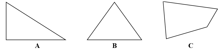 Viết tiếp vào ô trống cho thích hợp. (ảnh 2)