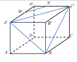 Cho hình lập phương ABCD.A'B'C'D'. Gọi M,N lần lượt là trung điểm của A'D' và C'D' (ảnh 1)
