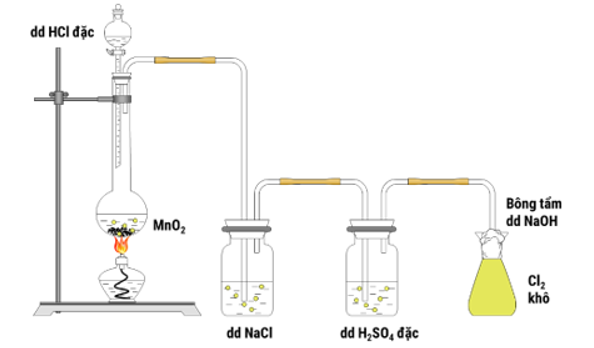 Trong phòng thí nghiệm, có thể điều chế khí Cl2 khi cho MnO2 tác dụng với dung dịch HCl đặc, đun nóng. Mô hình thí nghiệm được biểu diễn như hình dưới đây: (ảnh 1)