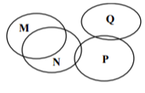 I. Quần thể N và quần thể Q không cạnh tranh về dinh dưỡng. (ảnh 1)