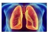 Th&ocirc;ng thường, phối của một người trường th&agrave;nh c&oacute; thế t&iacute;ch khoảng 5,7 l&iacute;t. Biết kh&ocirc;ng kh&iacute; trong phổi c&oacute; &aacute;p suất (ảnh 1)