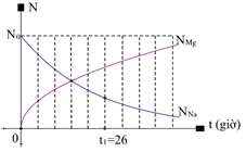 Đồng vị  24 Na 11 là chất phóng xạ beta tạo thành hạt nhân magiê (ảnh 1)