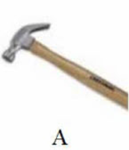 H&igrave;nh n&agrave;o l&agrave; c&aacute;i b&agrave;n? (ảnh 1)