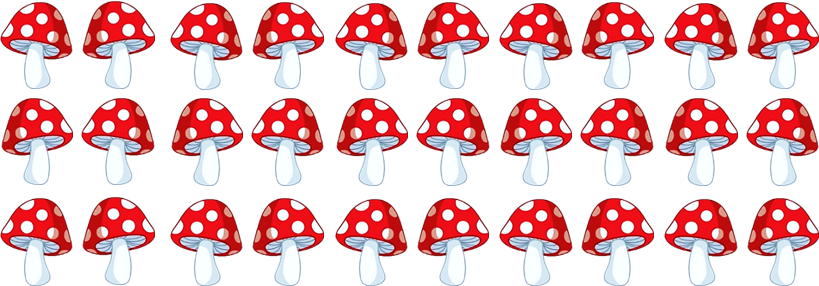 Trong dịp tham quan trang trại nấm, nhóm các bạn nhỏ được tham gia hoạt động hái nấm trong vườn. Hình dưới đây mô tả tổng số nấm mà các bạn hái được. (ảnh 1)