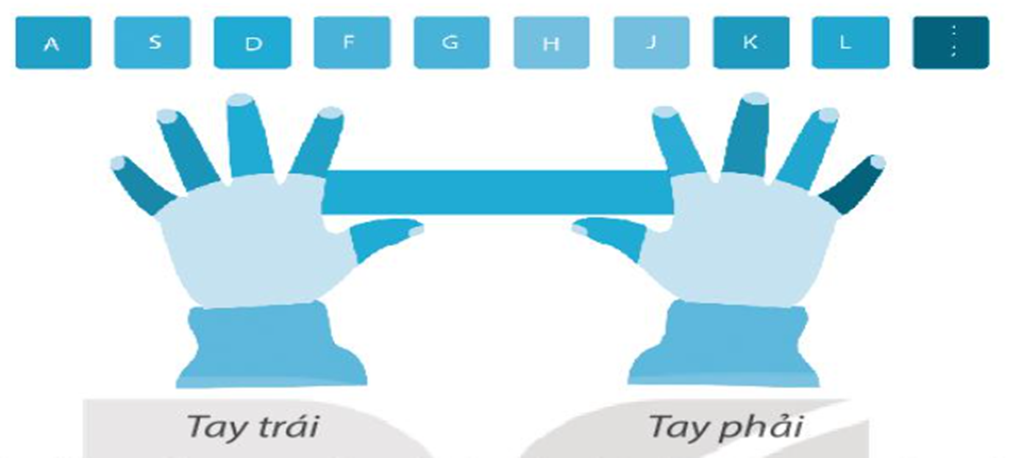 Em hãy nối mỗi ngón tay với phím trên hàng phím cơ sở để thể hiện đúng cách đặt tay tại vị trí xuất phát. (ảnh 1)