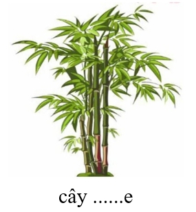 Chọn chữ thích hợp điền vào chỗ chấm sau: (ảnh 1)