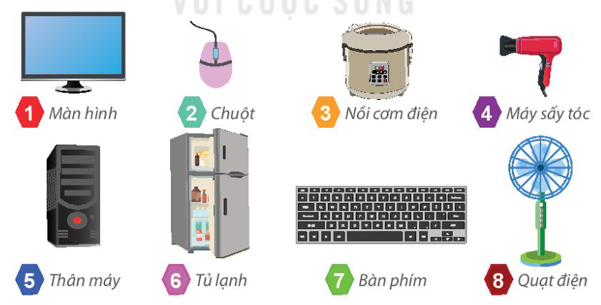 Hãy sắp xếp các thiết bị sau vào hai nhóm. (ảnh 1)
