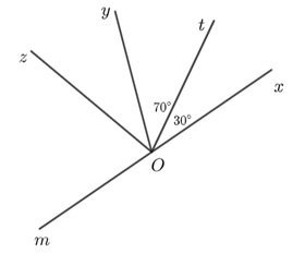 Cho hai góc xOy =30 độ , góc xOt =70 độ  như hình dưới đây (ảnh 1)
