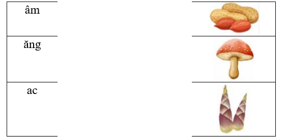 Hãy ghép vần với tên sự vật trong hình chứa vần tương ứng. (ảnh 1)