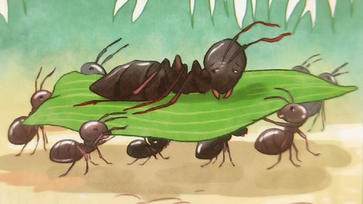 Đ&agrave;n kiến con ngoan ngo&atilde;n &ndash; C&acirc;u chuyện &yacute; nghĩa cho b&eacute; &ndash; Thơ ca d&acirc;n gian