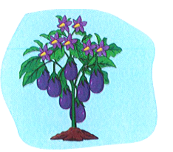 Câu đúng là: (ảnh 1)