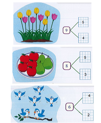  Bài tập cuối tuần Toán lớp 1 Kết nối tri thức Tuần 11 có đáp án (ảnh 2)