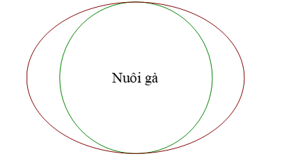 Ông A có một mảnh vườn hình Elip (ảnh 1)