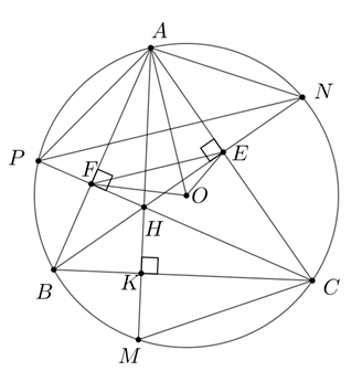 Cho tam gi&aacute;c \(ABC\) ( {AB < AC}  c&oacute; c&aacute;c g&oacute;c nhọn nội tiếp đường tr&ograve;n (ảnh 1)