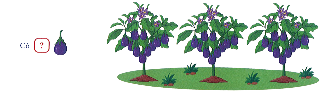 Bài tập cuối tuần Toán lớp 1 Kết nối tri thức Tuần 19 có đáp án (ảnh 1)