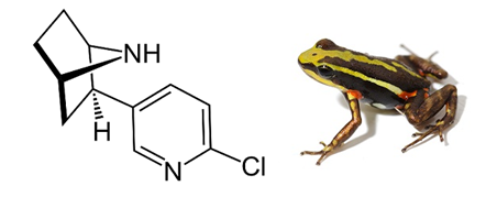 Công thức phân tử của Epibatadine là (ảnh 1)