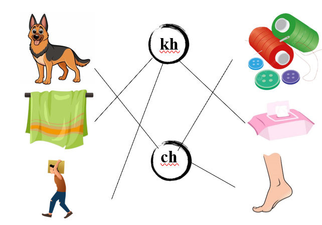 Nối đúng các hình dưới: (ảnh 2)