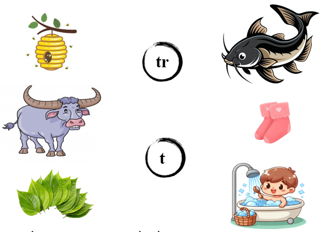 Nối đúng các hình dưới: (ảnh 1)