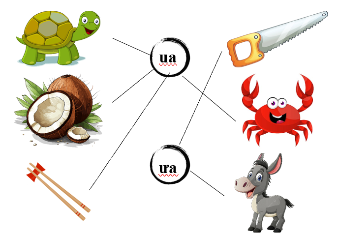Nối đúng các hình dưới : (ảnh 2)