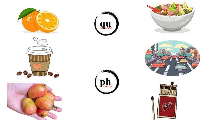 Nối đúng các hình dưới : (ảnh 1)