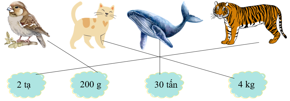 Nối con vật với số đo cân nặng thích hợp. (ảnh 2)
