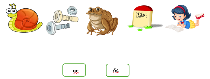 Nối đúng các hình sau : (ảnh 1)