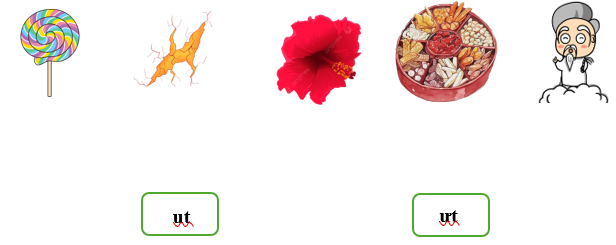 Nối đúng các hình dưới đây: (ảnh 1)