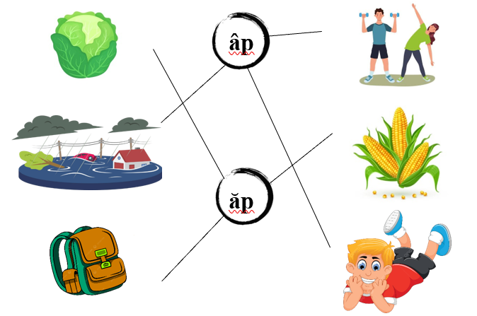 Nối đúng các hình sau: (ảnh 2)