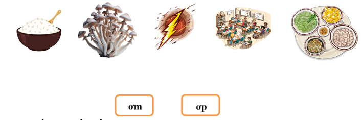 Nối đúng các hình sau: (ảnh 1)