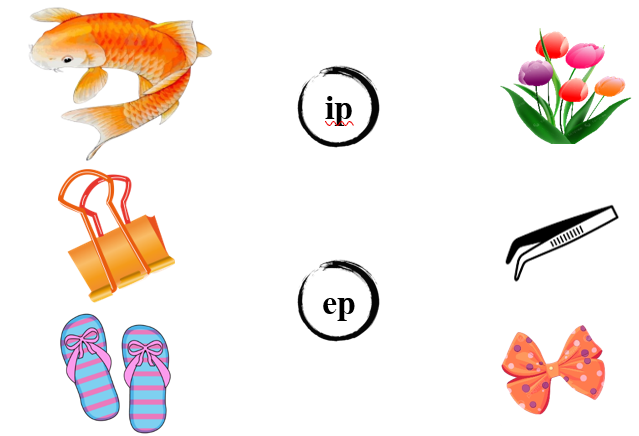 Nối đúng các hình sau: (ảnh 1)